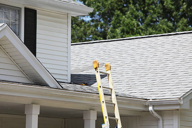 Best Property Management Cleanouts  in North Branch, MI